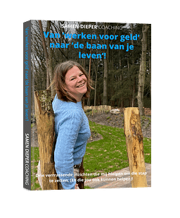 EBook Van werken voor geld naar de baan van je leven!